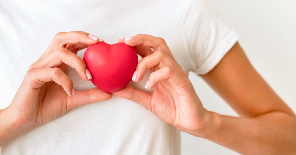 Person holding a heart model